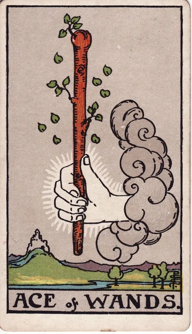 ภาพไพ่ Ace of Wands (เอซไม้เท้า) จากสำรับ Rider–Waite–Smith