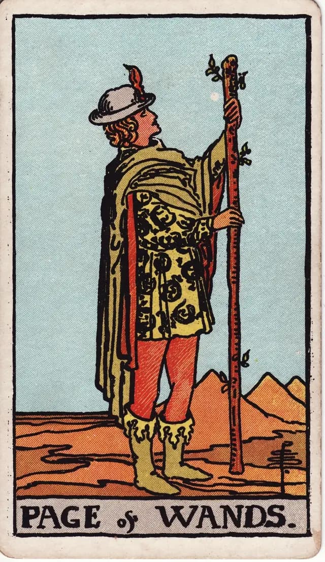 ภาพไพ่ Page of Wands (เพจไม้เท้า) จากสำรับ Rider–Waite–Smith